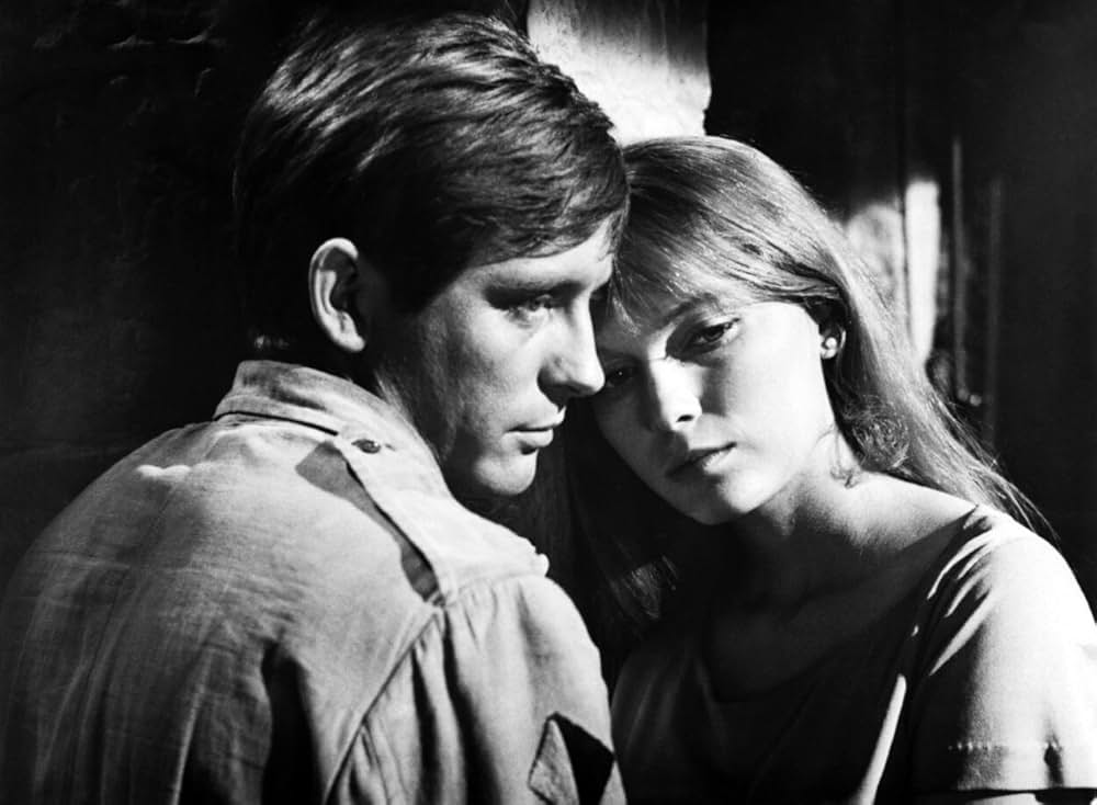 バタシの鬼軍曹の画像