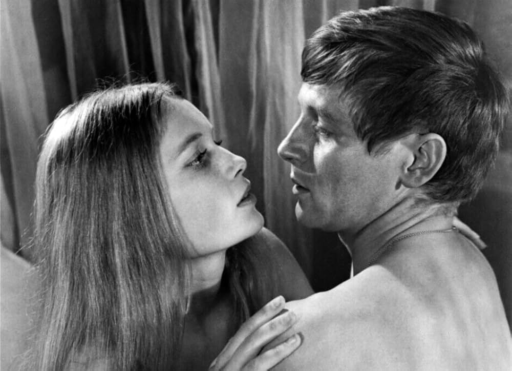 バタシの鬼軍曹の画像