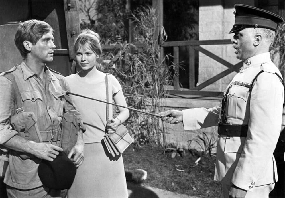 バタシの鬼軍曹の画像