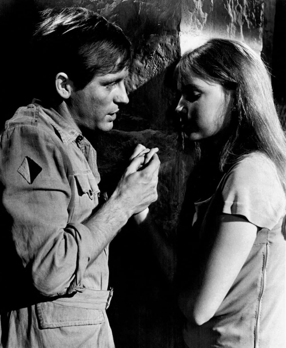 バタシの鬼軍曹の画像