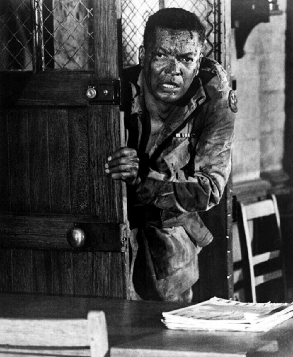 バタシの鬼軍曹の画像