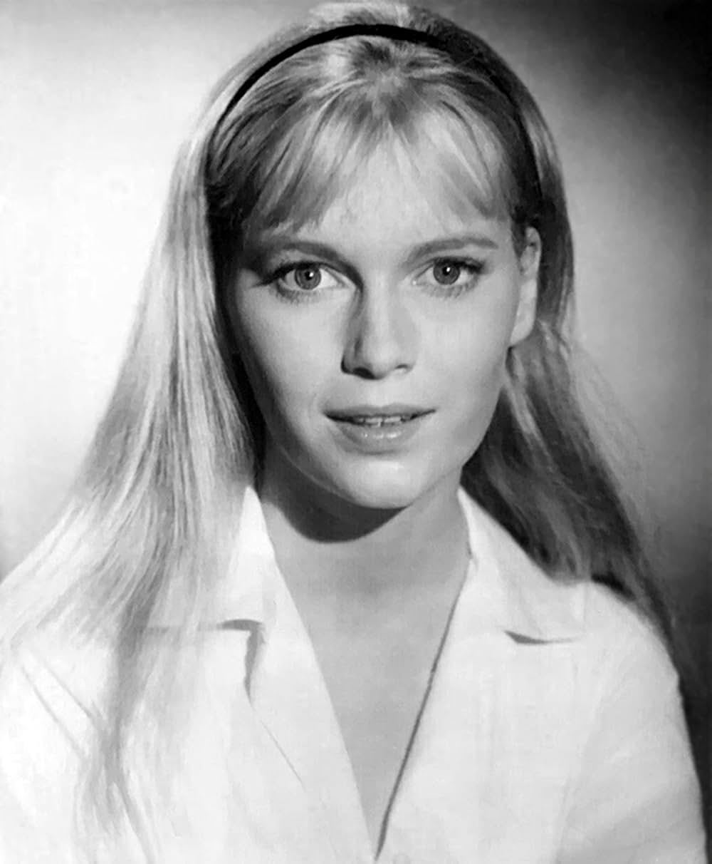 バタシの鬼軍曹の画像