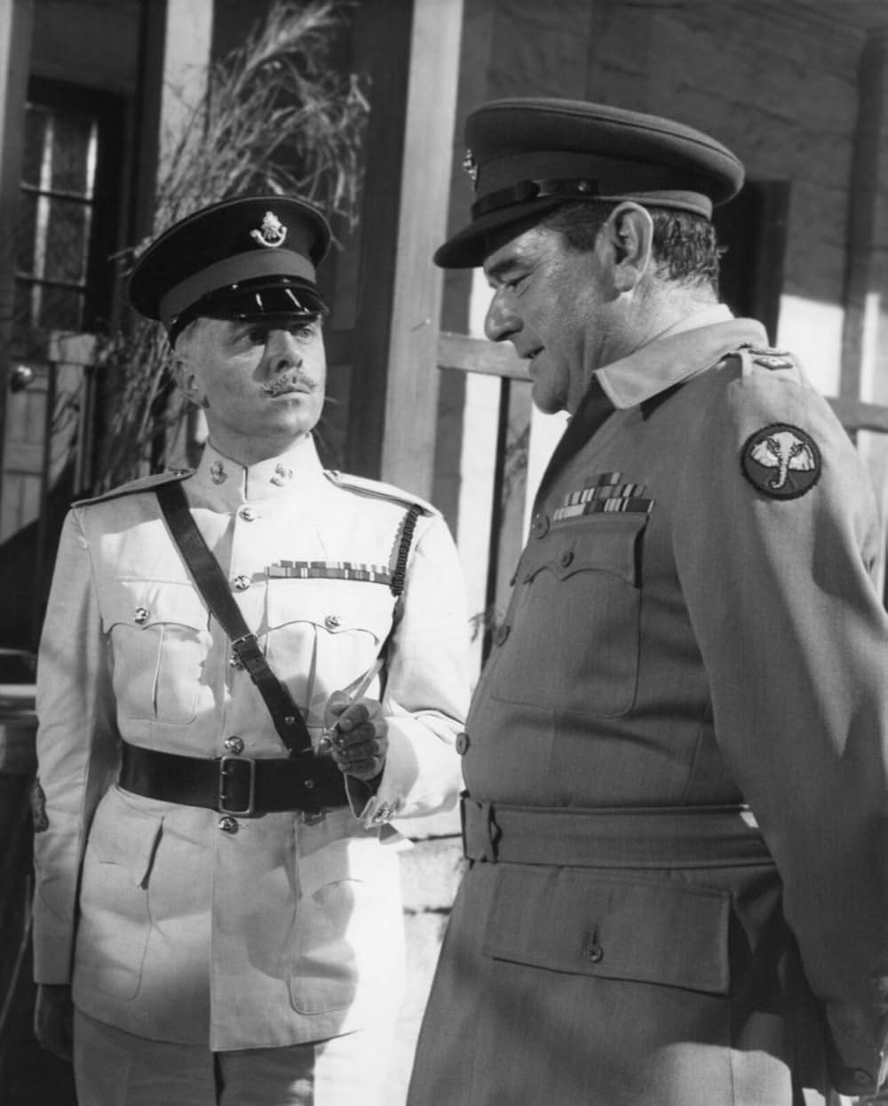 バタシの鬼軍曹の画像