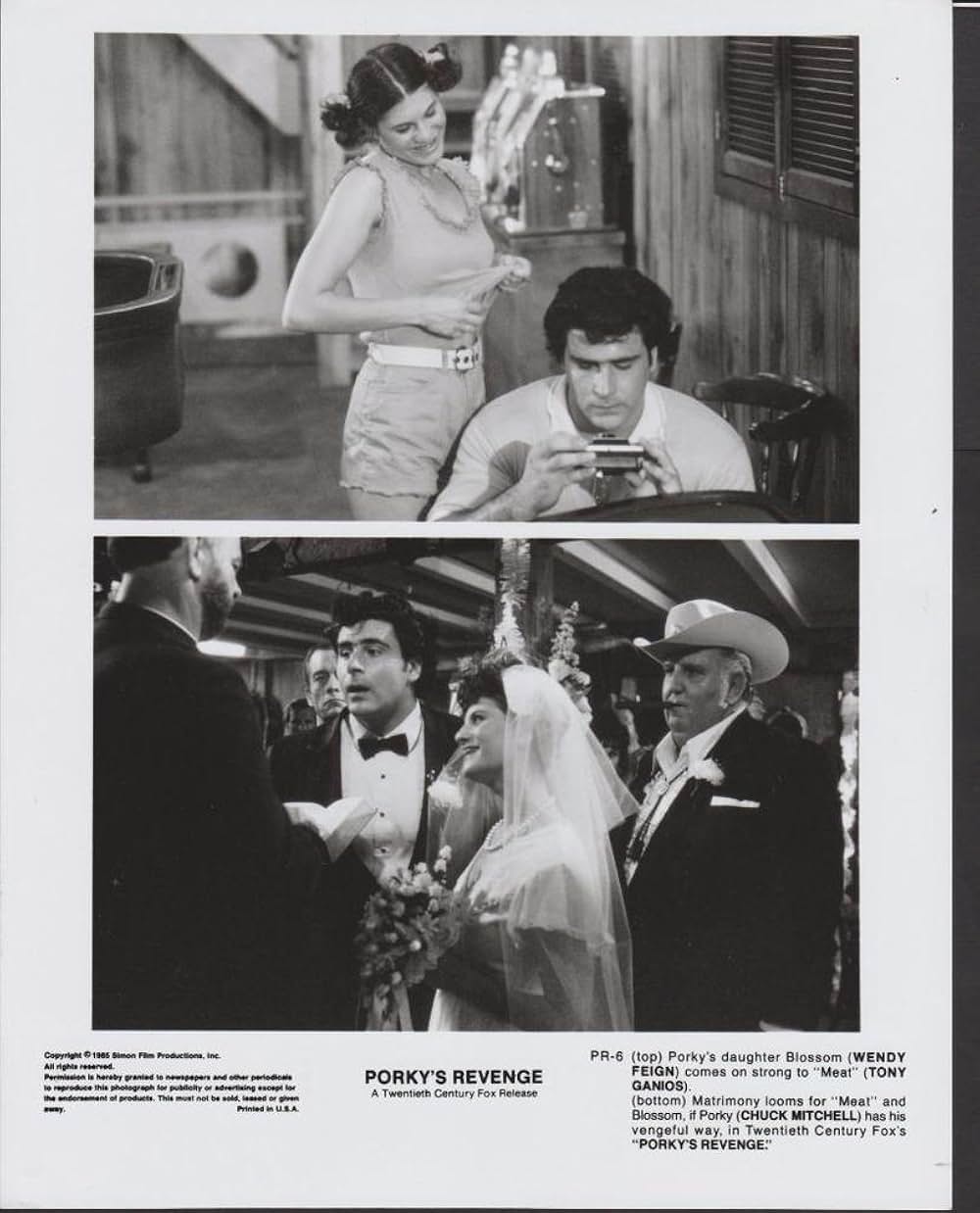 ポーキーズ 最後の反撃の画像