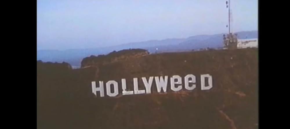 ハリウッド式温泉ゲームの画像