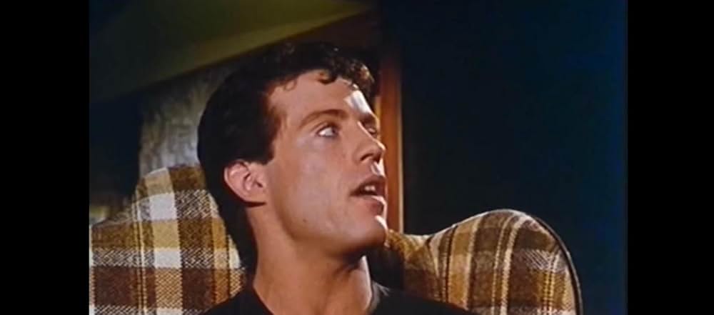 ハリウッド式温泉ゲームの画像