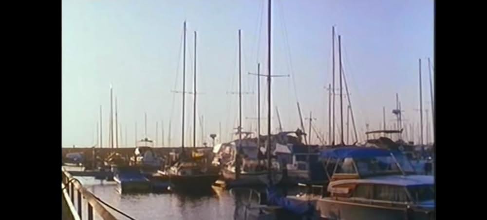 ハリウッド式温泉ゲームの画像