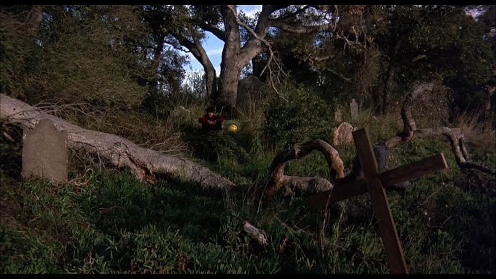 ヨーガ伯爵の復活の画像