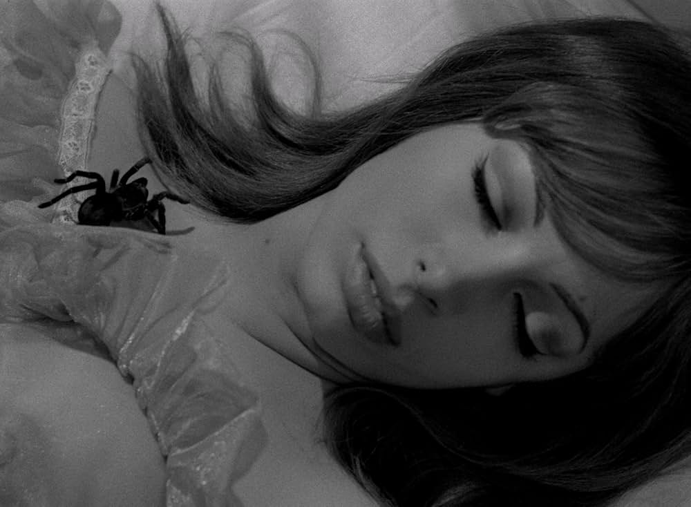 コフィン・ジョーの おまえの死体も乗っ取るぜ！！！の画像