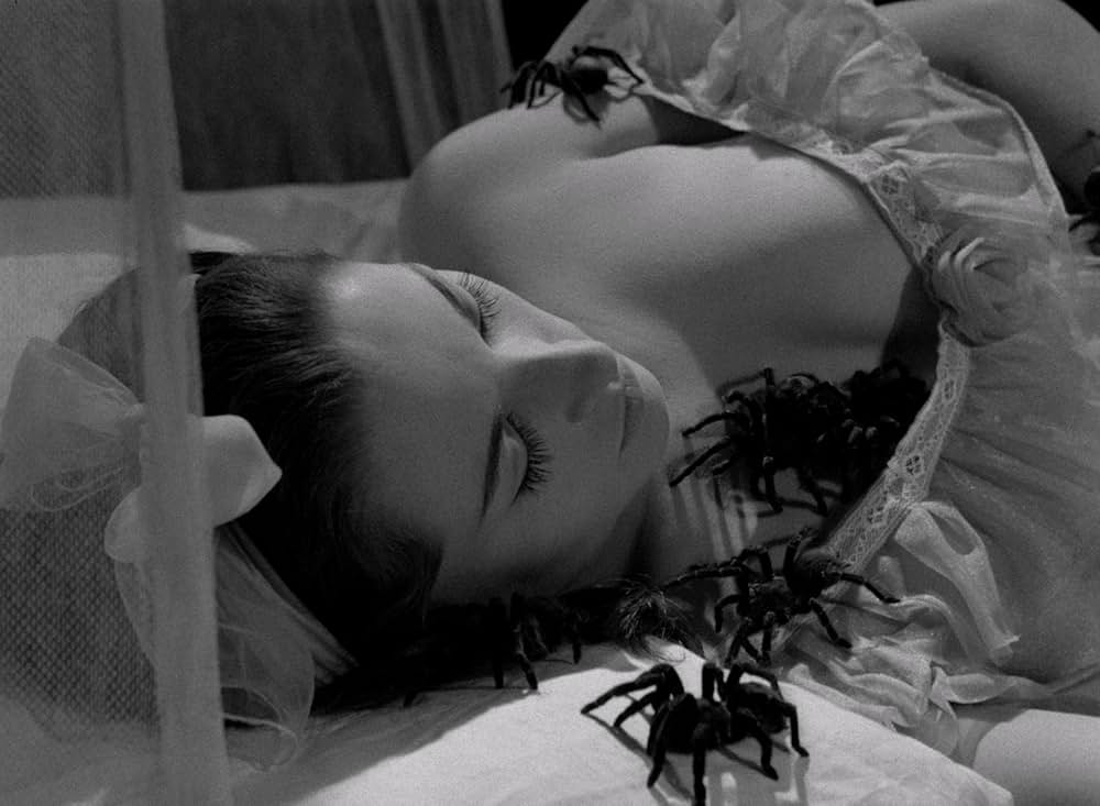 「コフィン・ジョーの おまえの死体も乗っ取るぜ！！！」の画像
