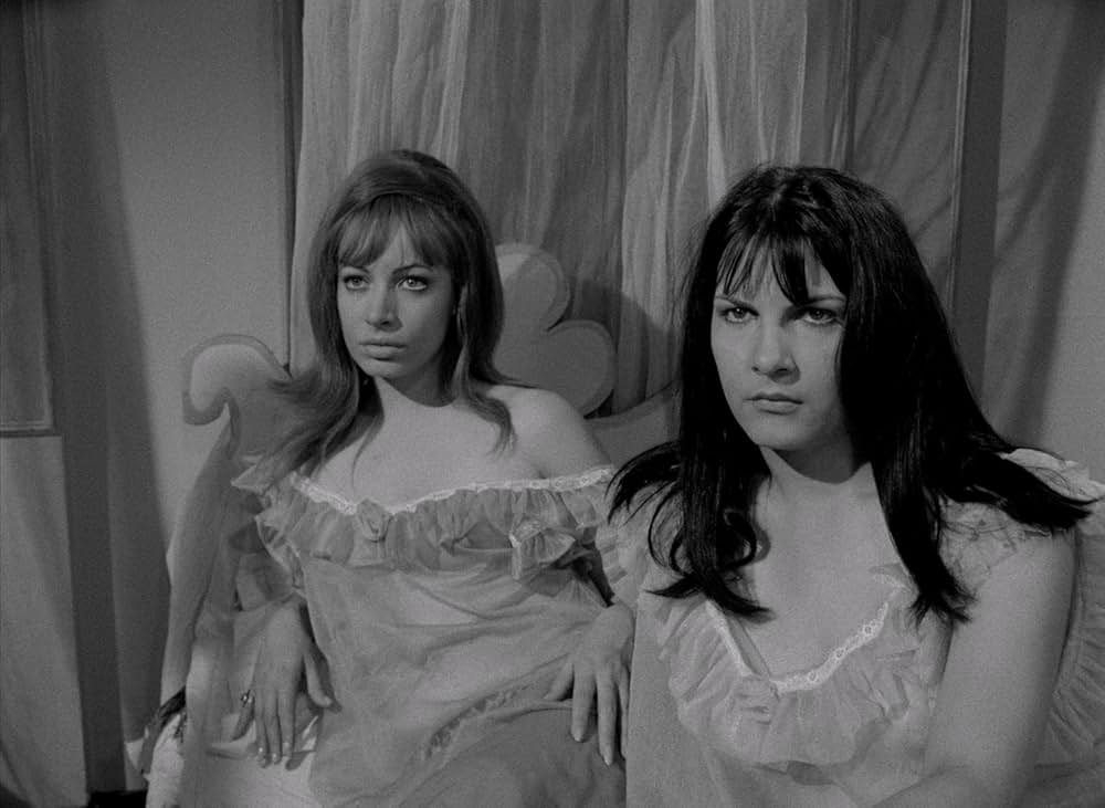 コフィン・ジョーの おまえの死体も乗っ取るぜ！！！の画像