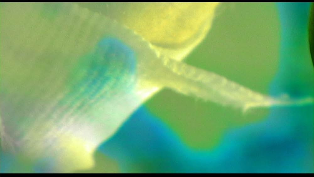 ネズミゾンビの画像