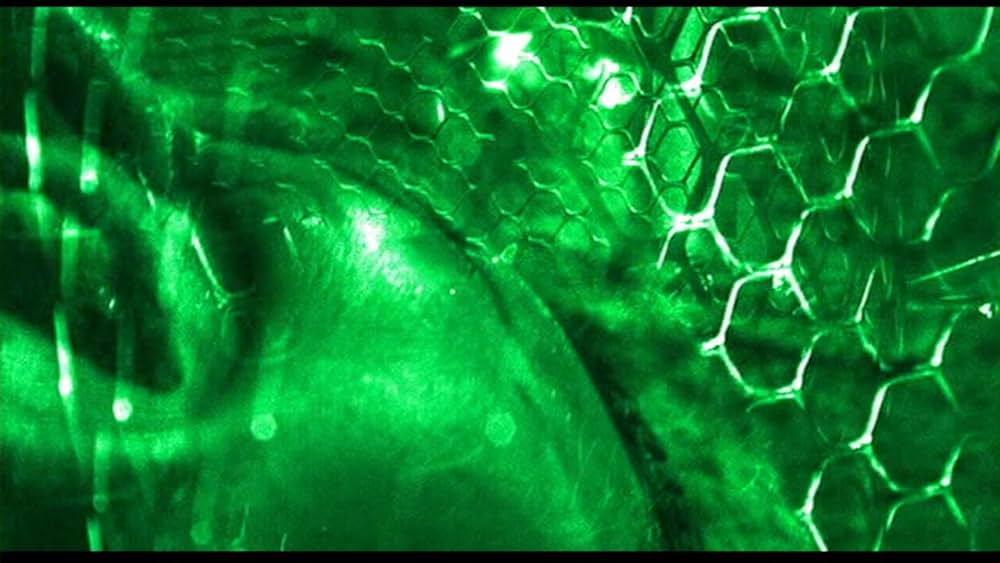 ネズミゾンビの画像