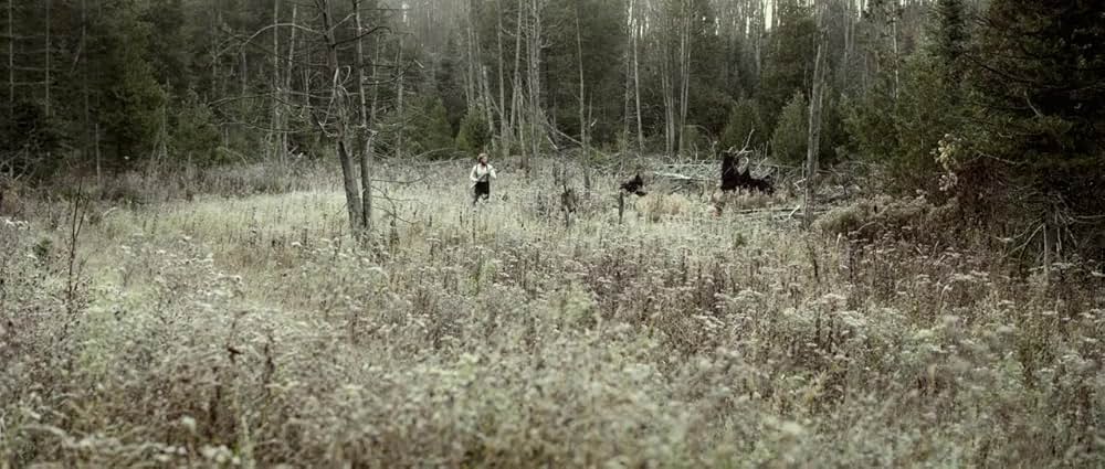 夜明けのゾンビの画像