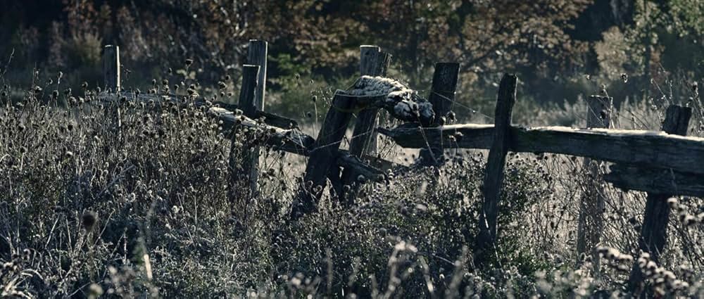 夜明けのゾンビの画像