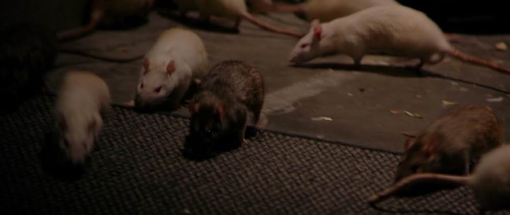 ディケイド 腐敗する者たちの画像