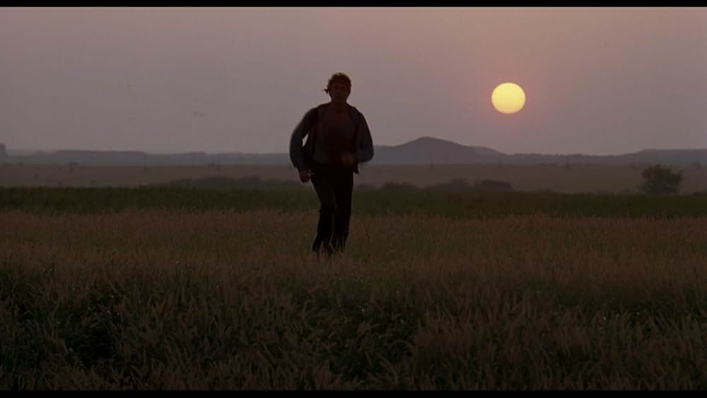 愛に向って走れの画像