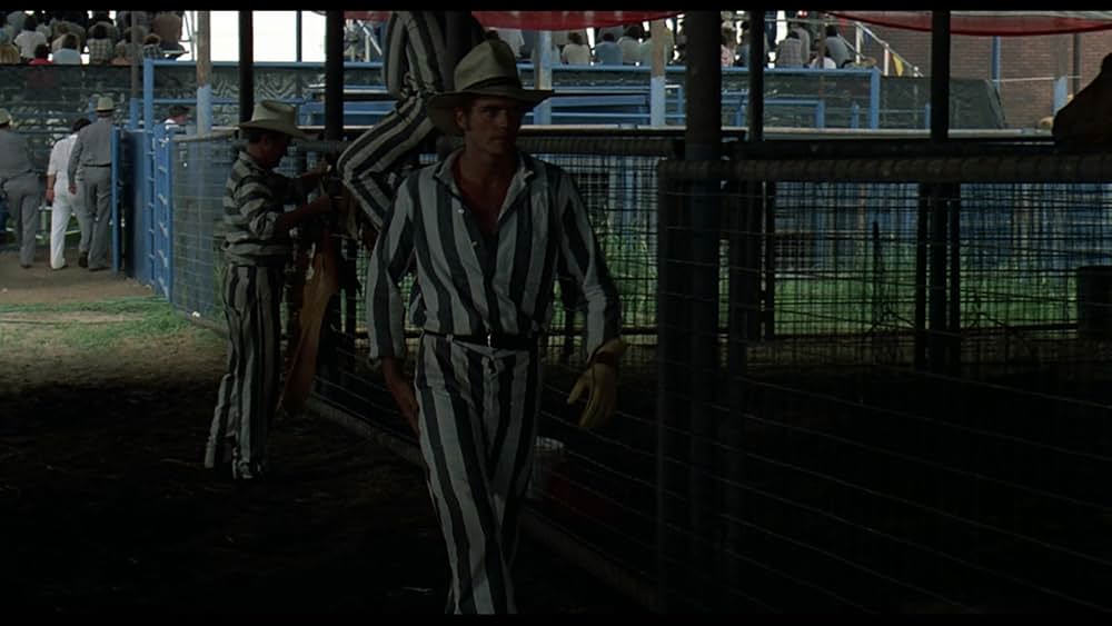 愛に向って走れの画像