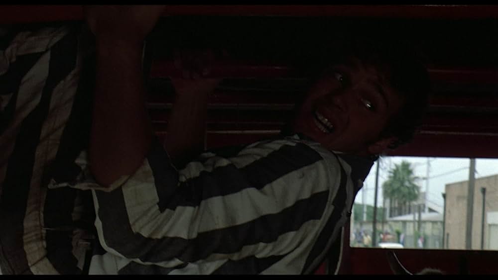 愛に向って走れの画像