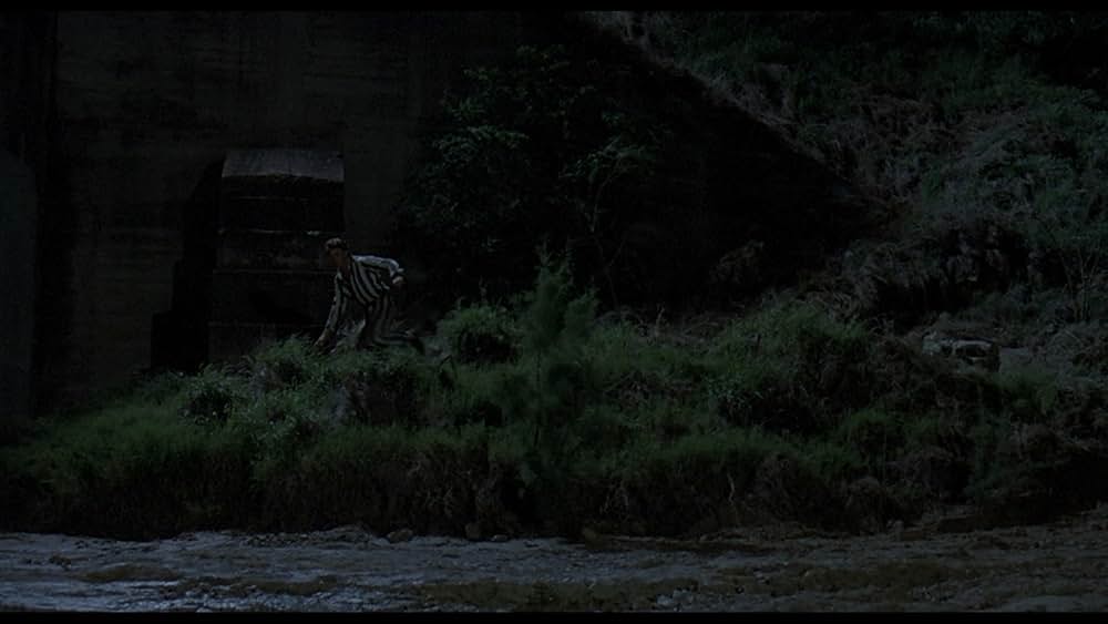 愛に向って走れの画像