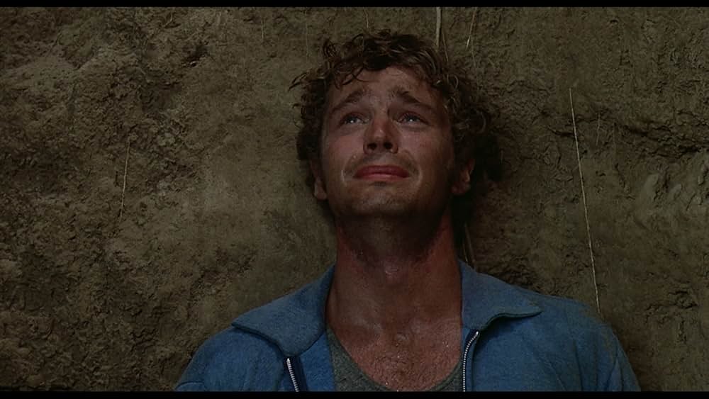 愛に向って走れの画像