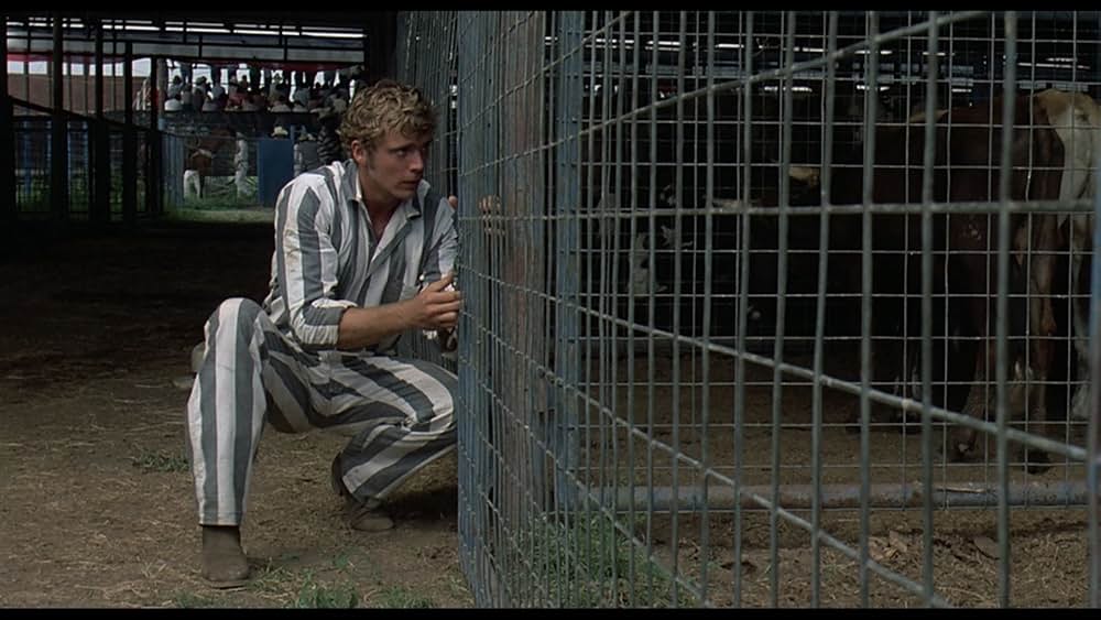 愛に向って走れの画像