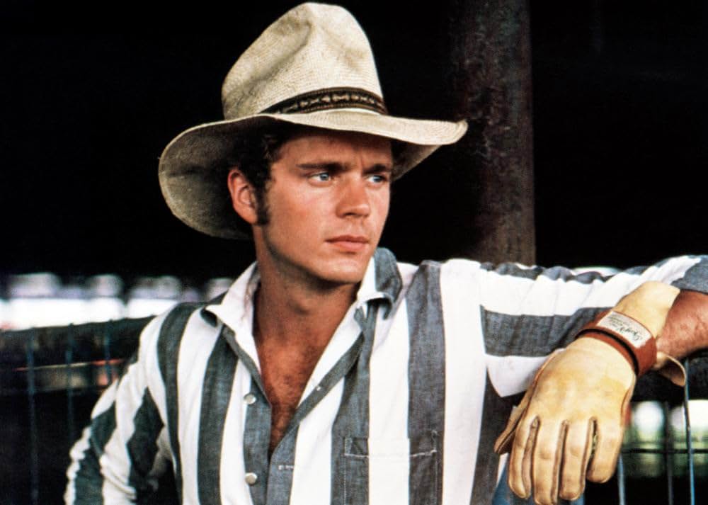 愛に向って走れの画像