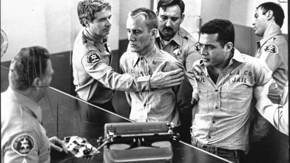 オニオン・フィールドの画像