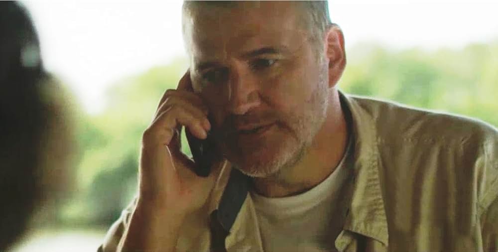 シャーク・クルーズの画像