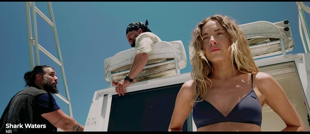 シャーク・クルーズの画像