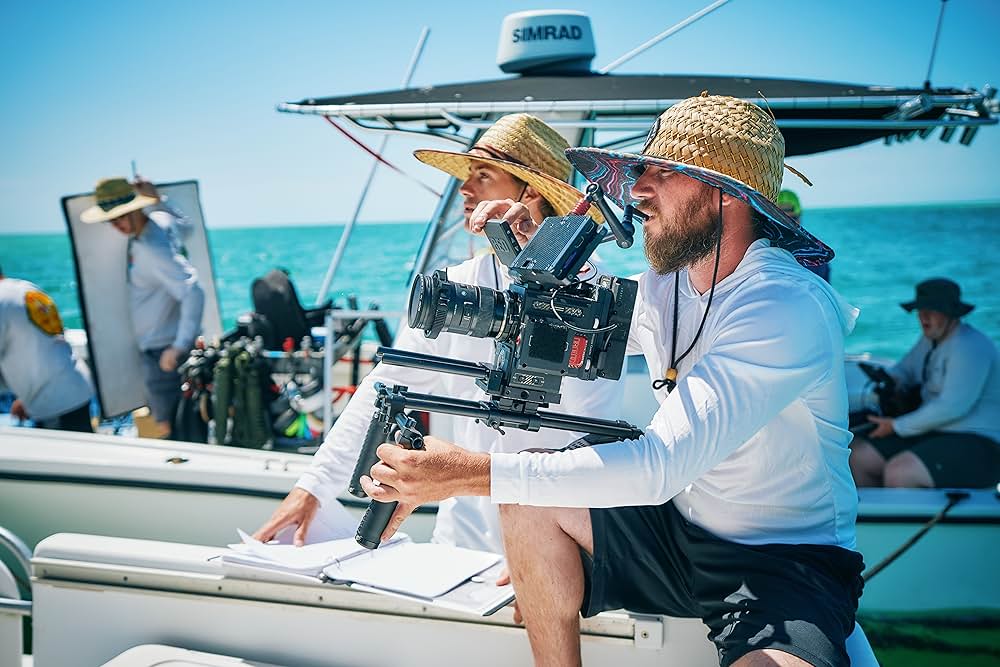 シャーク・クルーズの画像