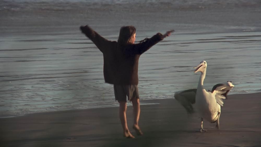 少年と海の画像