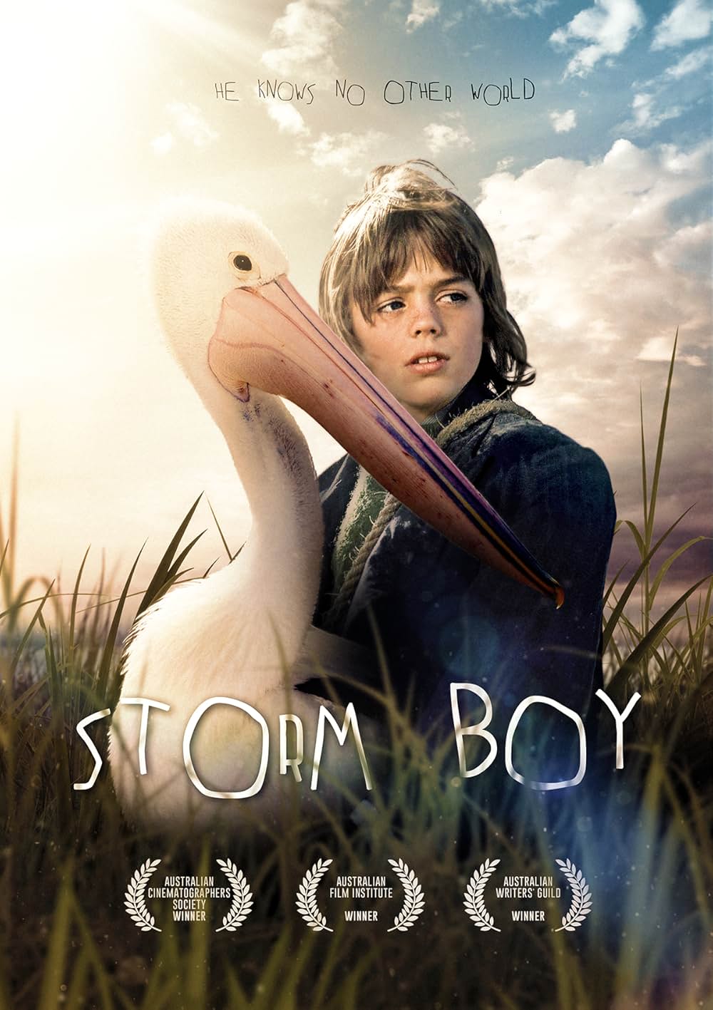 少年と海の画像