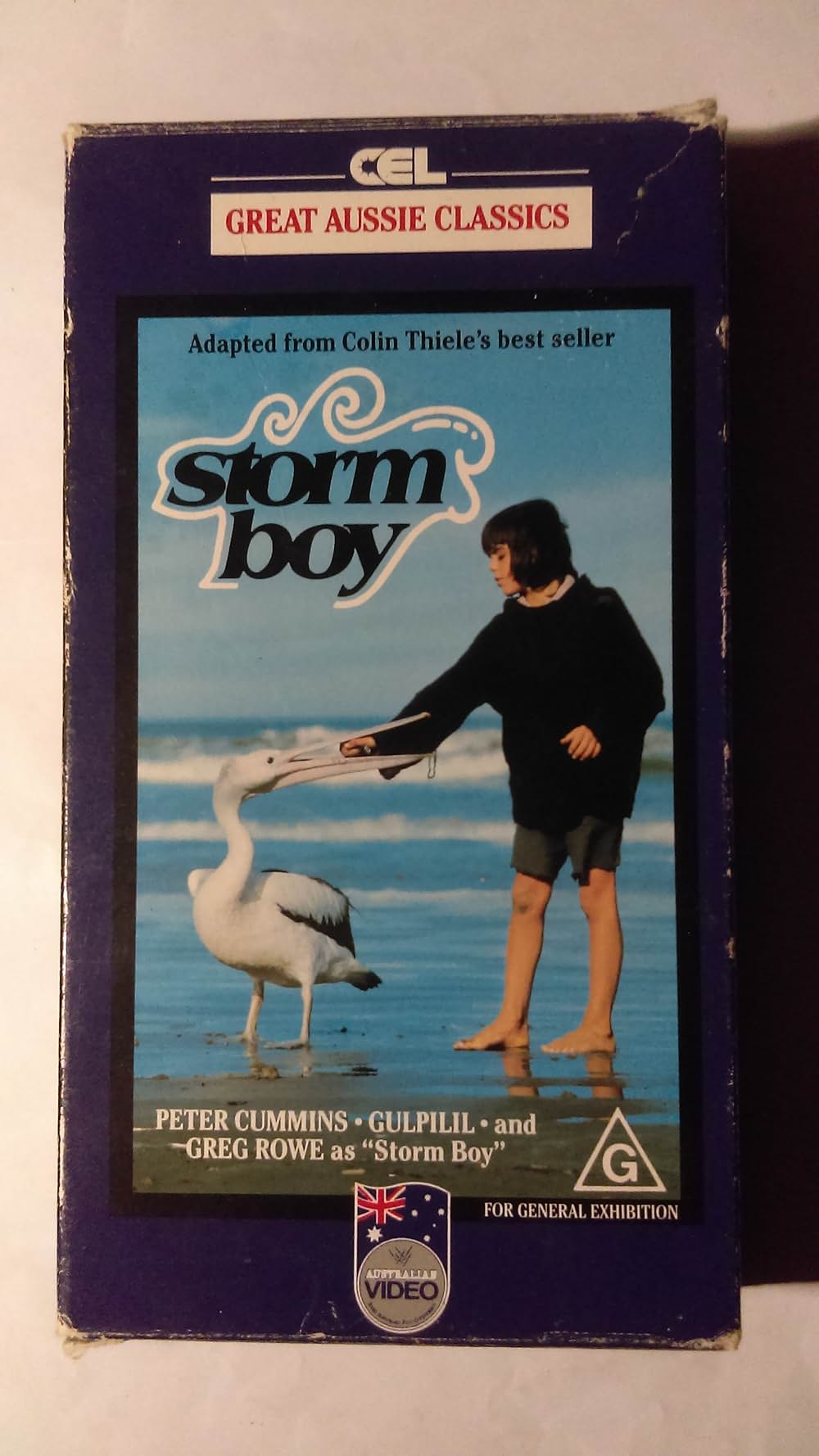 少年と海の画像