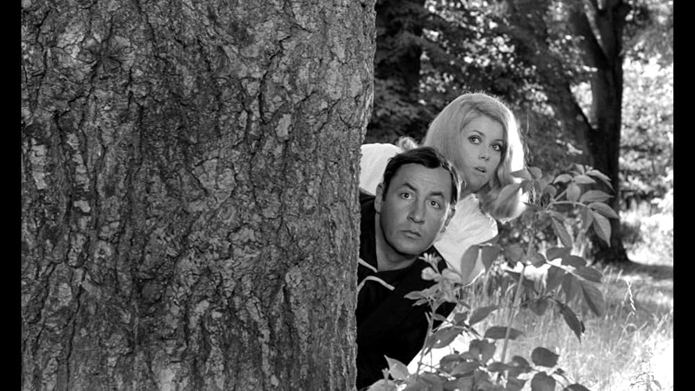 城の生活の画像