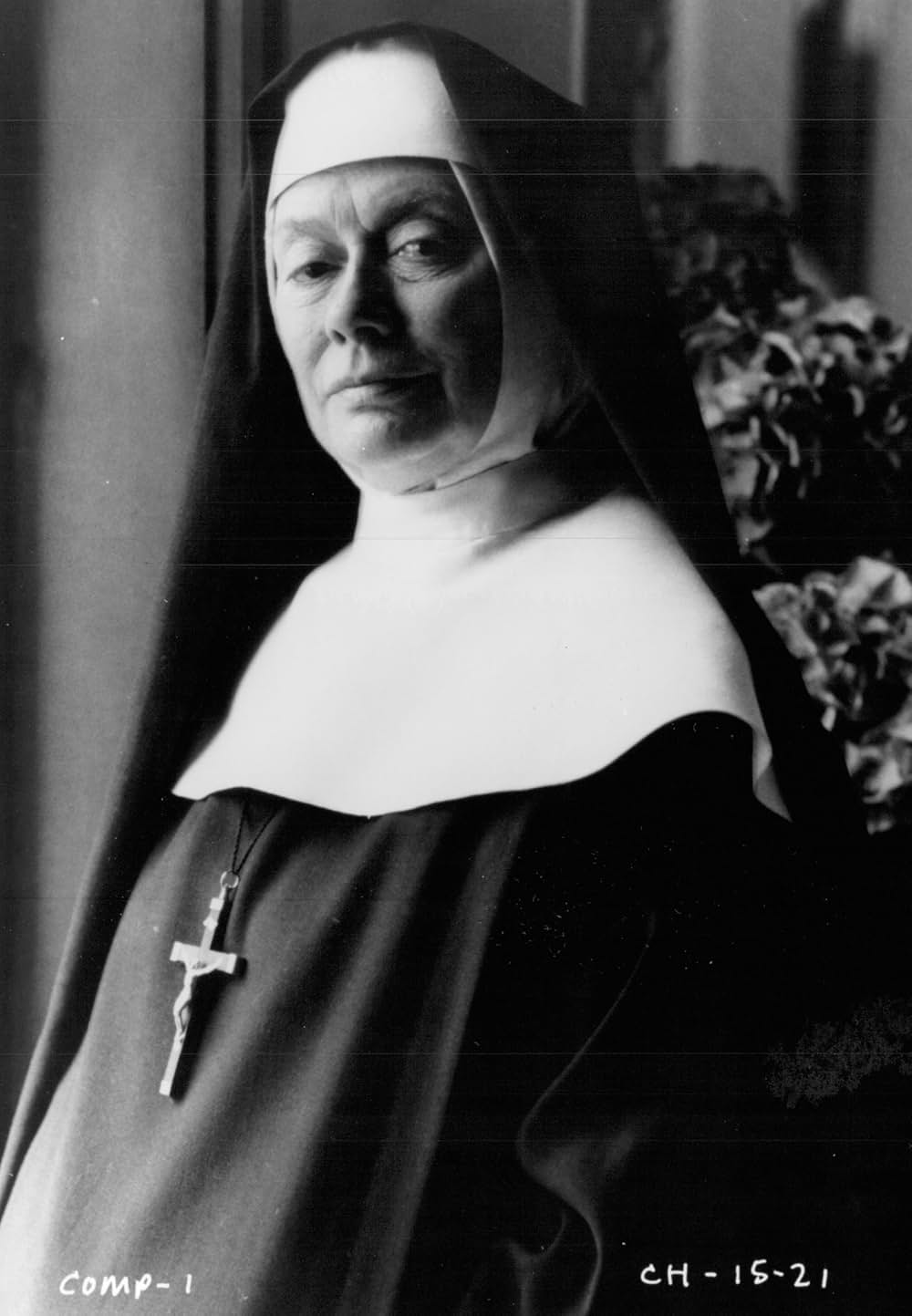 禁じられた恋の画像