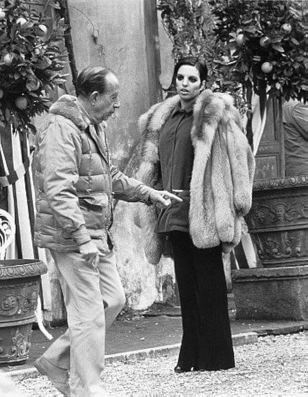 ザ・スターの画像