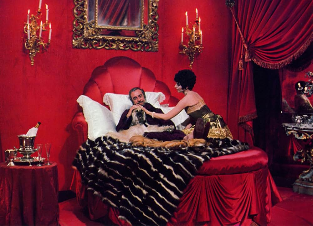 ザ・スターの画像