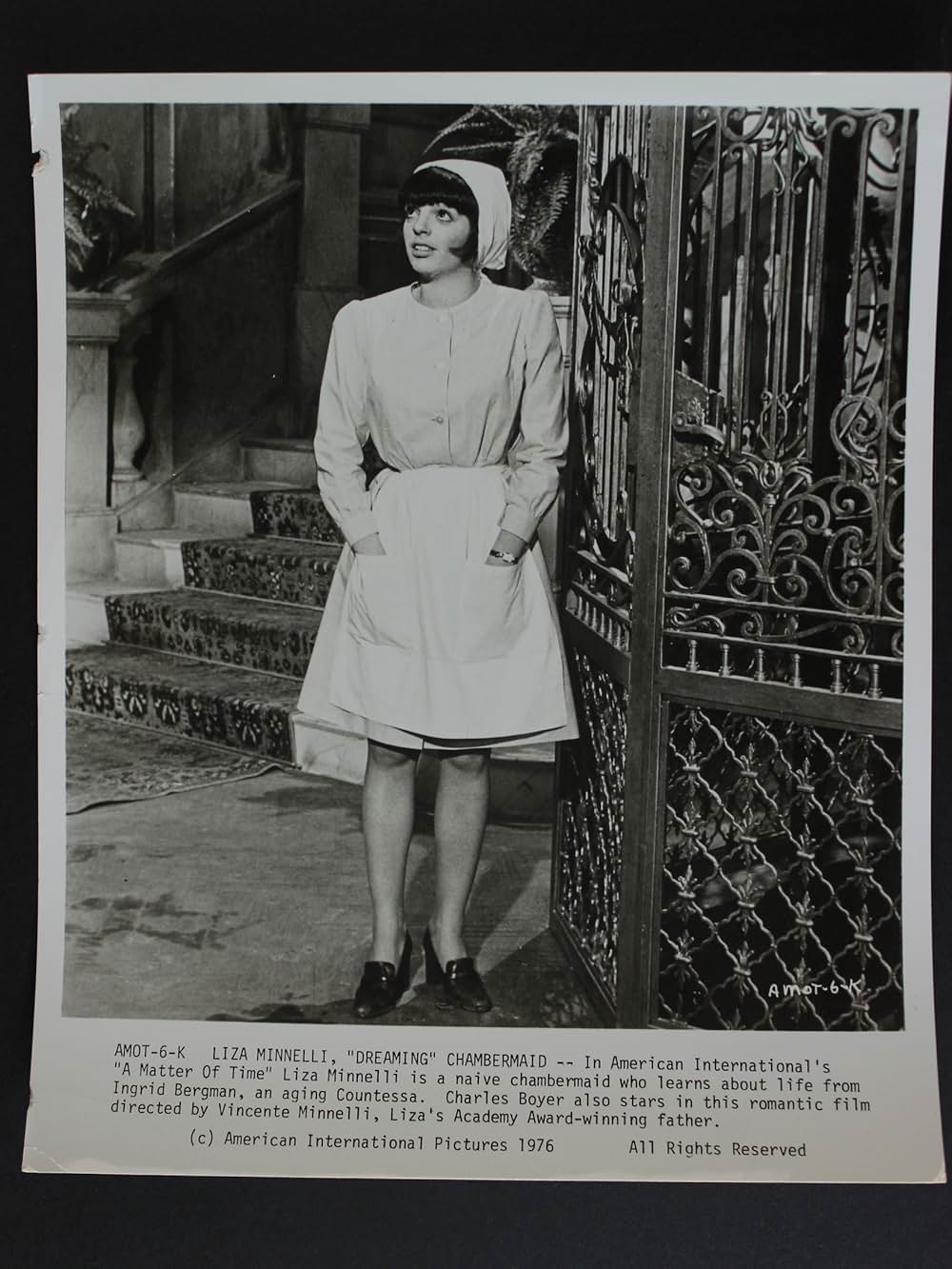 ザ・スターの画像