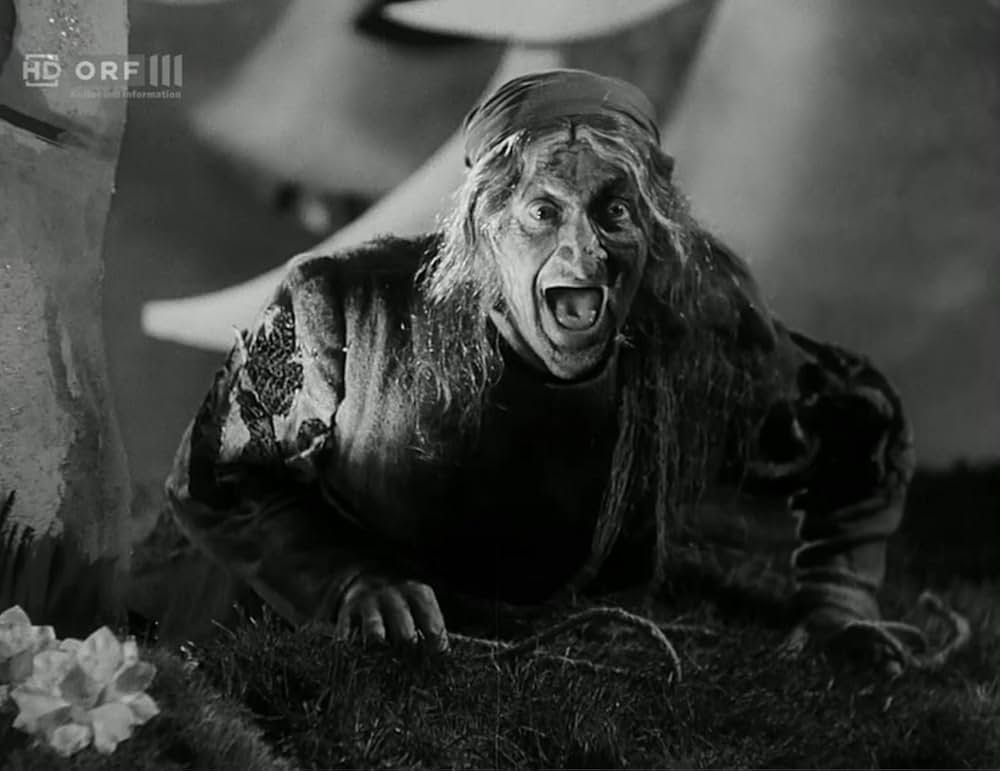 双児のロッテの画像