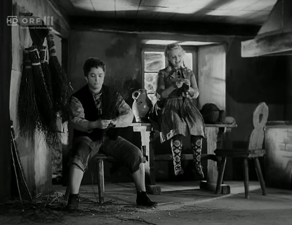 双児のロッテの画像