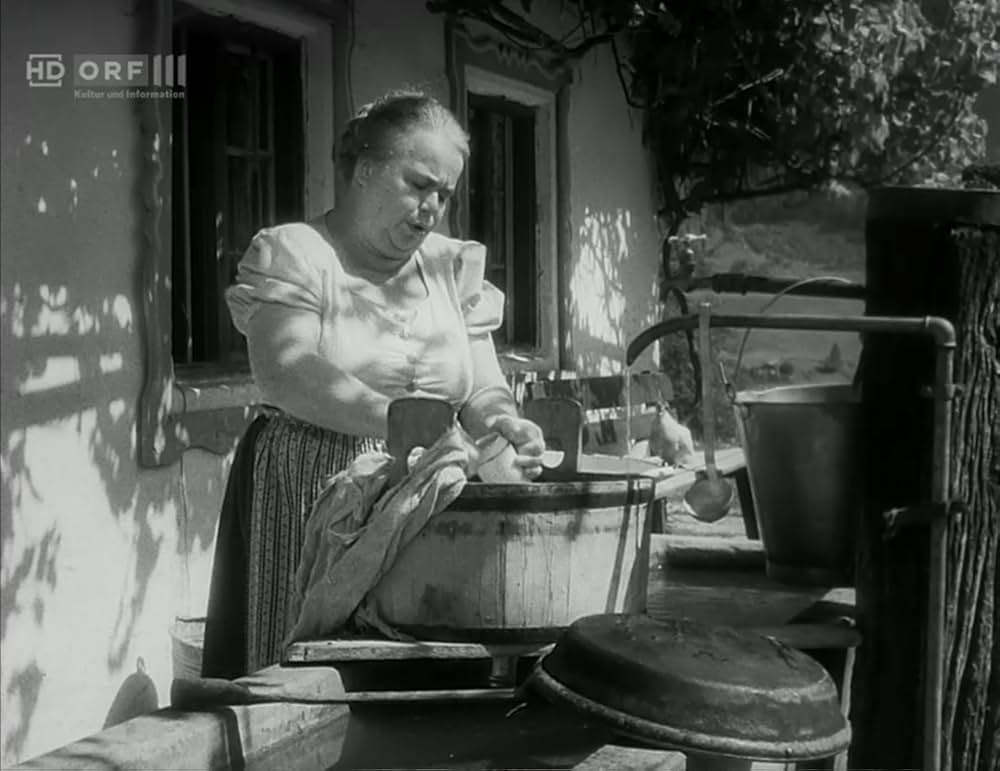 双児のロッテの画像