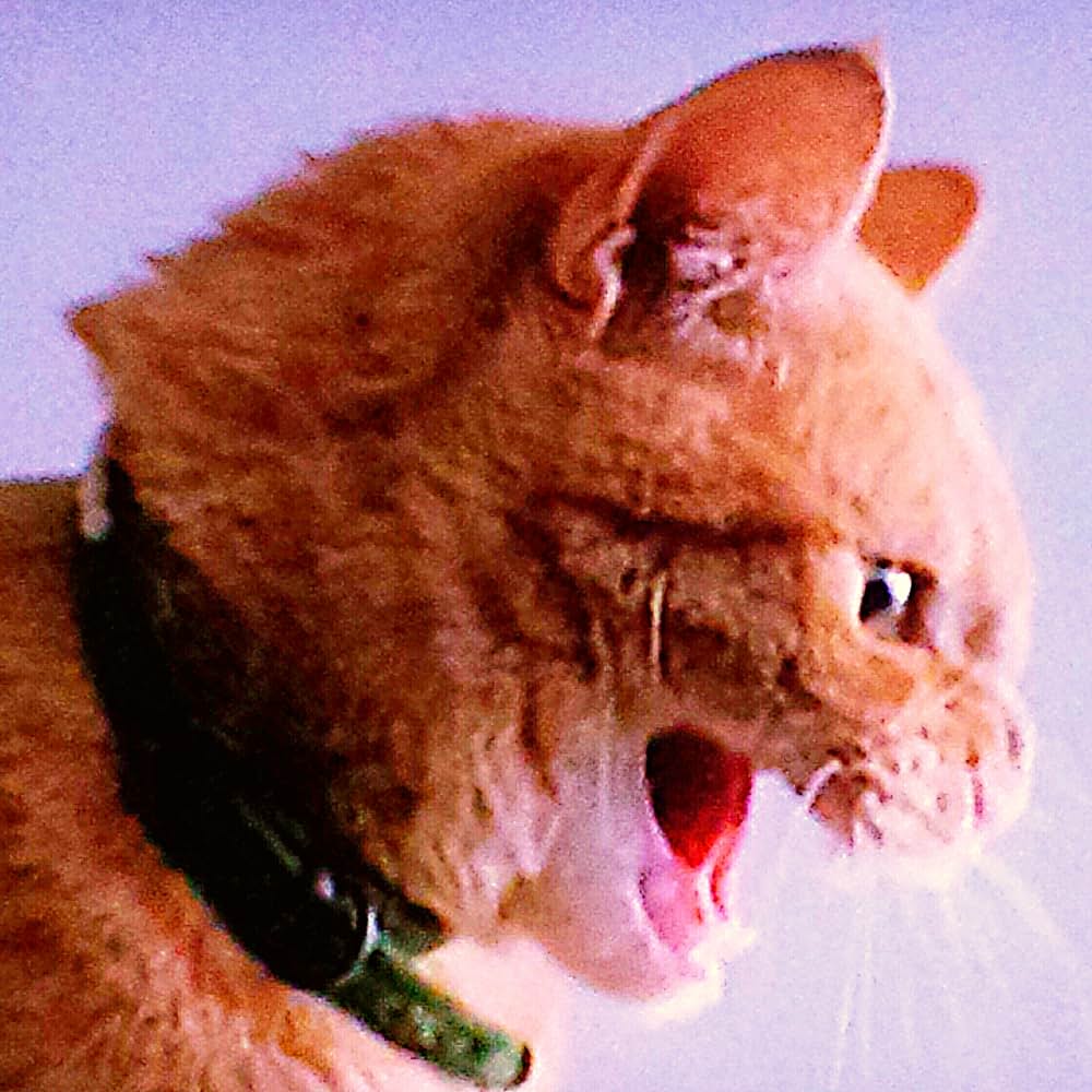 ペンタグラム／悪魔の烙印の画像