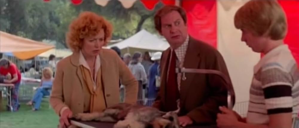 ブラック・マーブルの画像