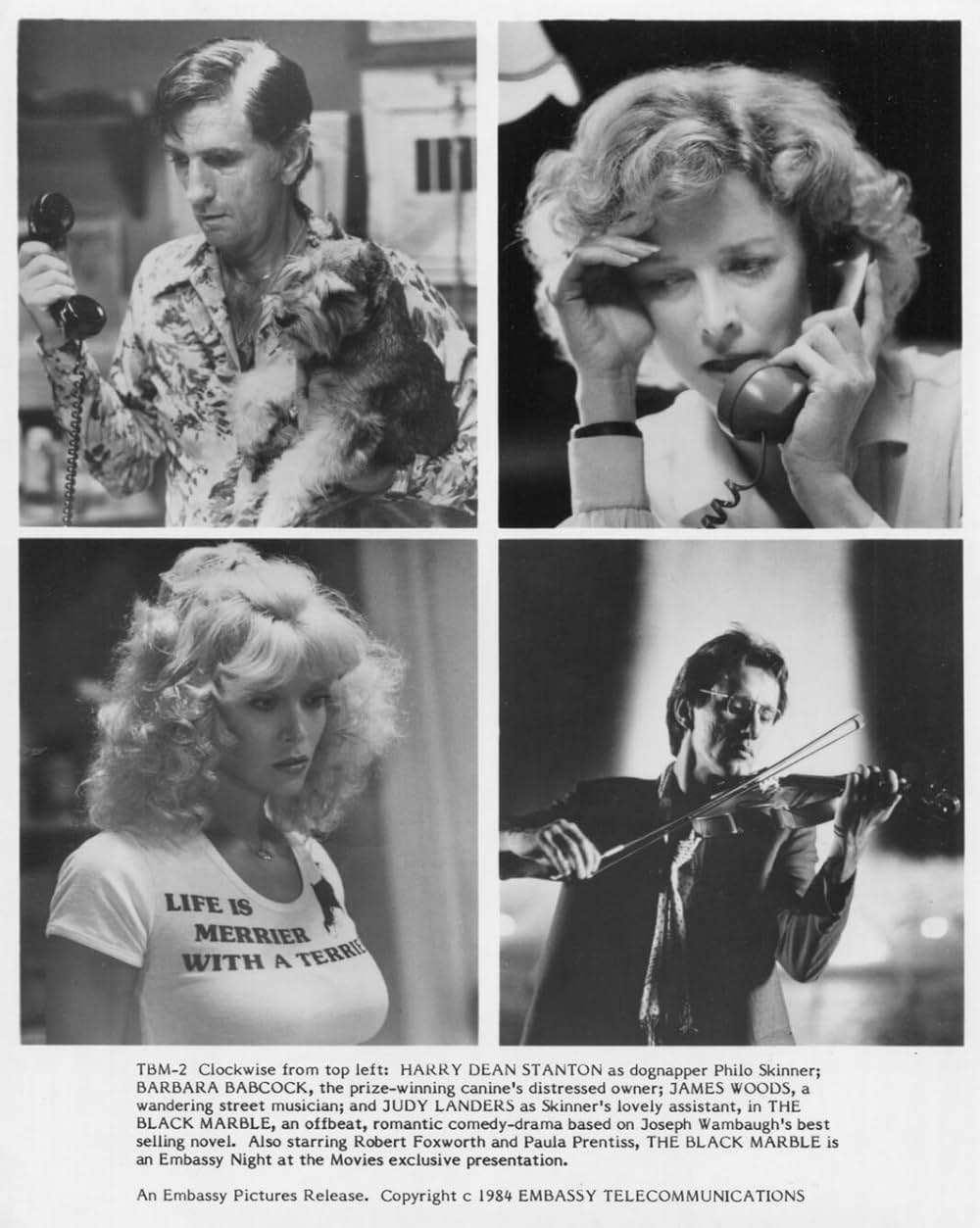 ブラック・マーブルの画像