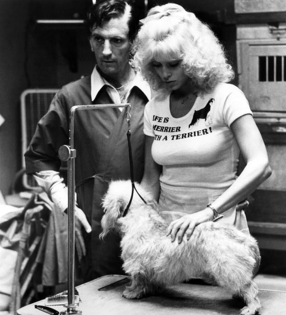 ブラック・マーブルの画像