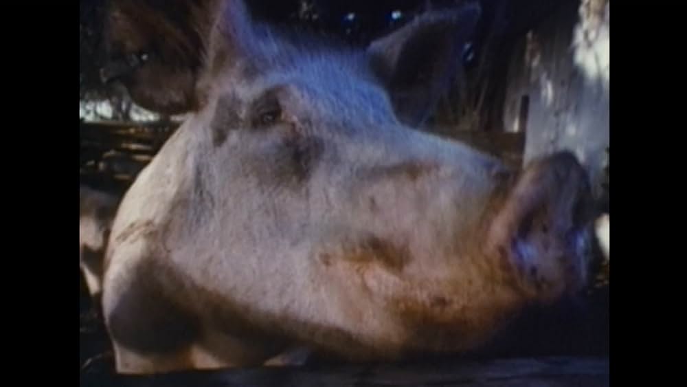 ホラー・パーティの画像