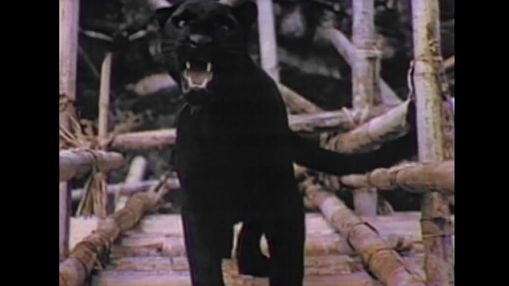 ホラー・パーティの画像