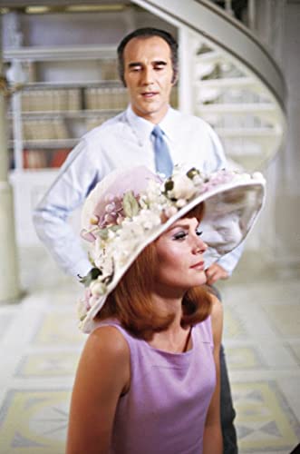 ロシュフォールの恋人たちの画像