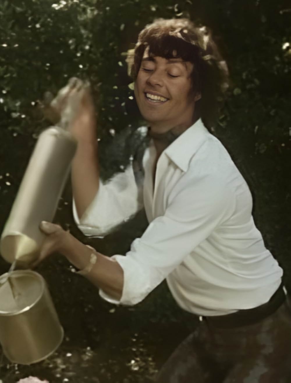 ロシュフォールの恋人たちの画像